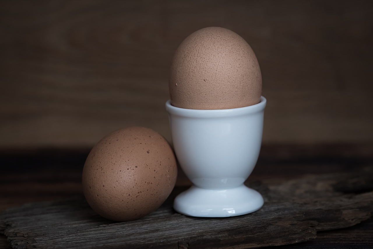 למה אסור לאכול בעל חיים שמטיל ביצים?