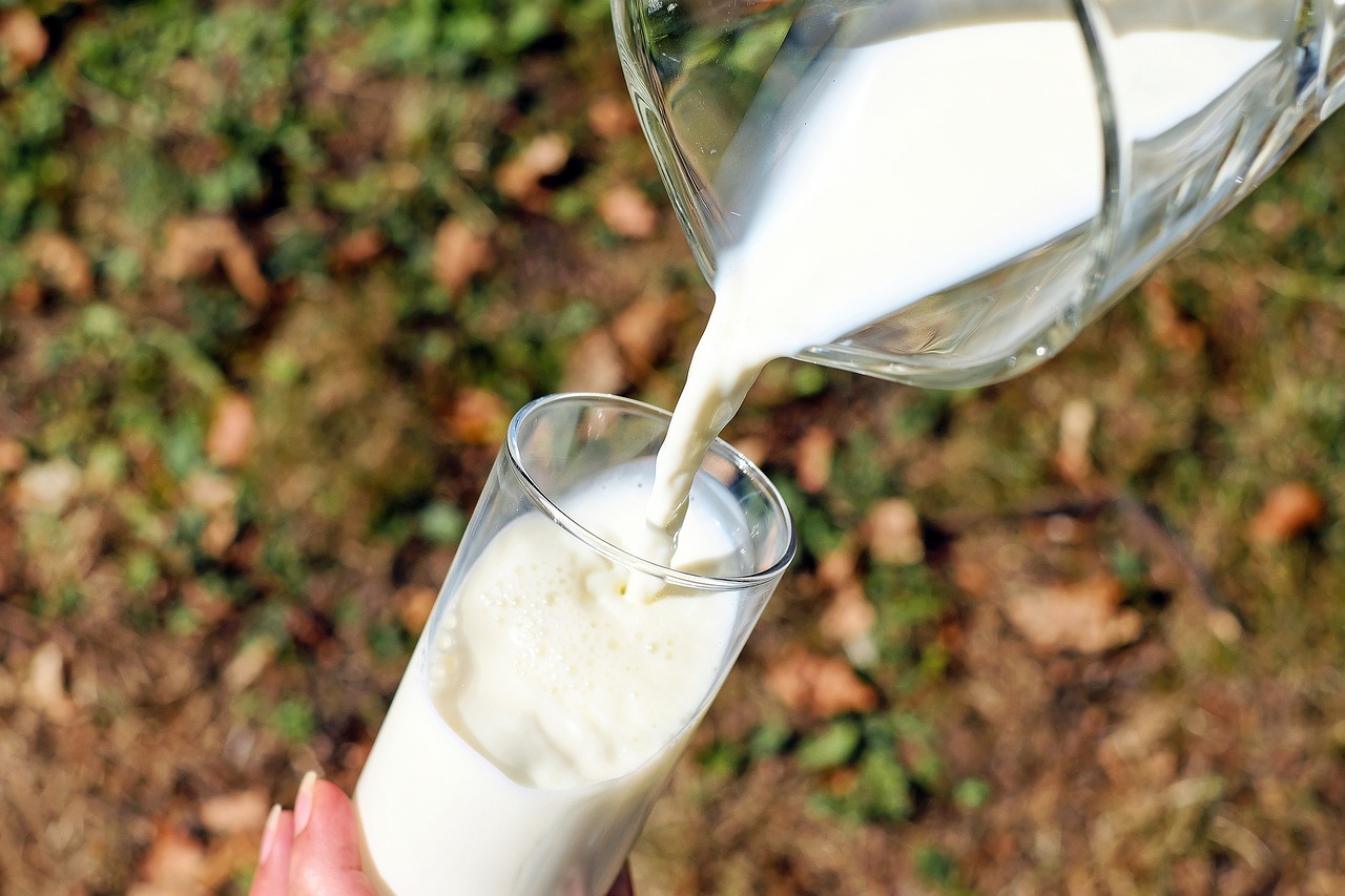 מדוע אסור לאכול חלב נכרי?